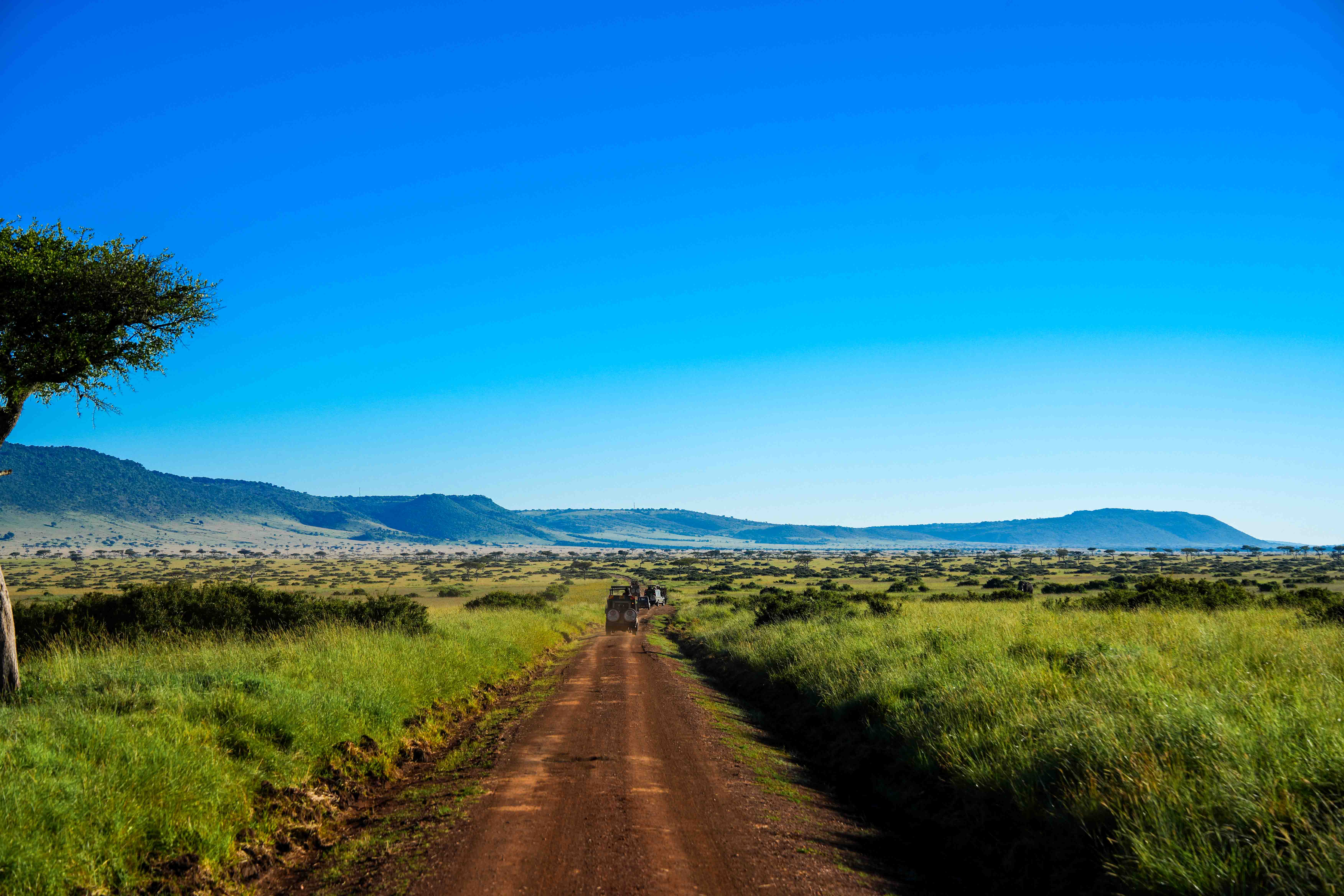 Maasai Mara Trips safari hero image